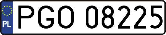 PGO08225
