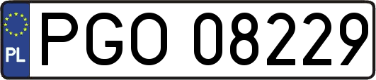 PGO08229