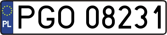PGO08231