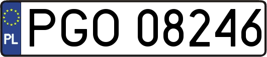 PGO08246