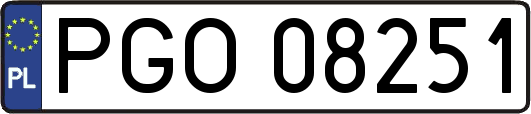 PGO08251