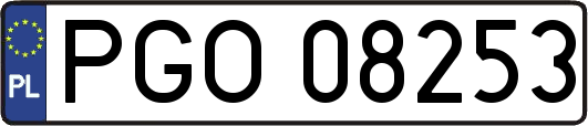 PGO08253