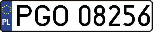 PGO08256