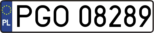PGO08289