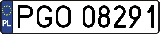 PGO08291