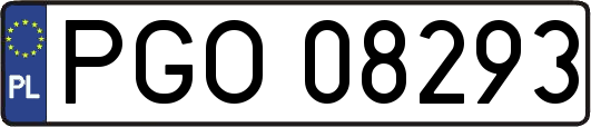 PGO08293