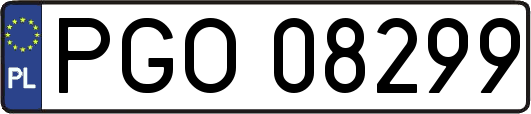 PGO08299