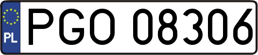 PGO08306