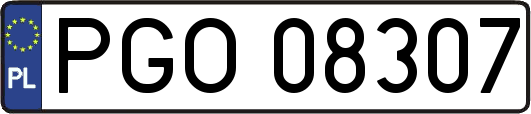 PGO08307