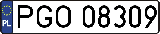 PGO08309