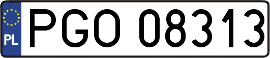 PGO08313