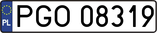 PGO08319