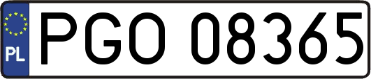 PGO08365