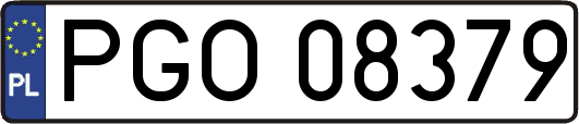 PGO08379