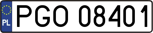 PGO08401