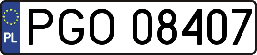 PGO08407