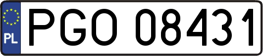 PGO08431