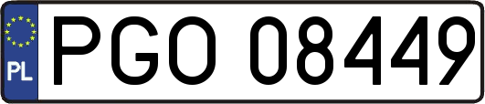 PGO08449