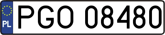 PGO08480