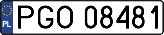 PGO08481