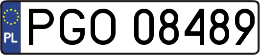 PGO08489