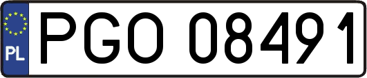 PGO08491