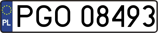 PGO08493