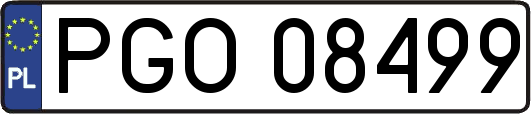 PGO08499