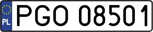 PGO08501