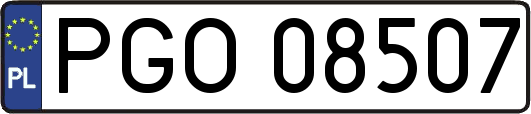 PGO08507