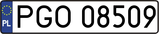 PGO08509