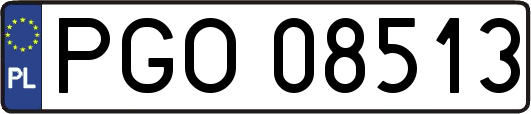 PGO08513