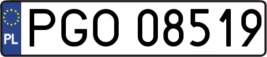 PGO08519