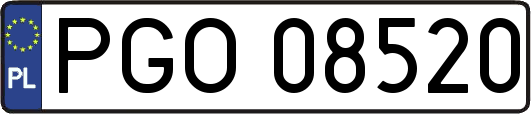 PGO08520