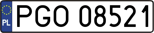PGO08521