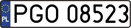 PGO08523