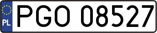 PGO08527