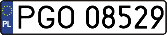 PGO08529