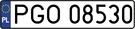 PGO08530