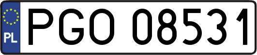 PGO08531