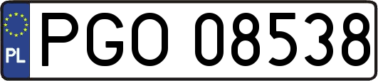 PGO08538