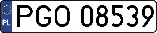 PGO08539