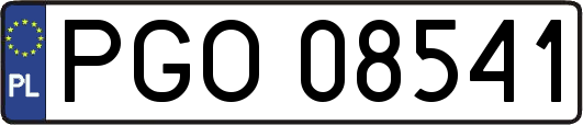 PGO08541