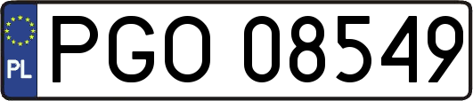 PGO08549