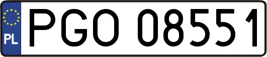 PGO08551