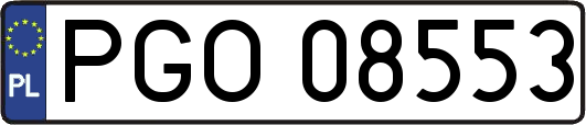 PGO08553