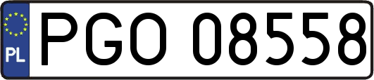 PGO08558