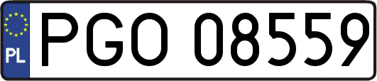PGO08559