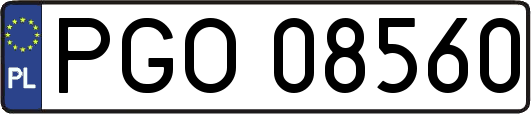 PGO08560