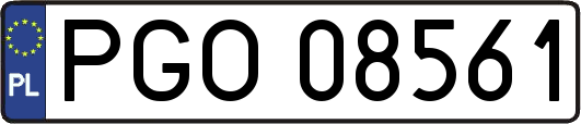 PGO08561